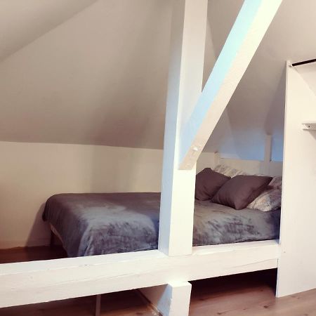 Au Bord Du Foron Apartment Scionzier Bagian luar foto