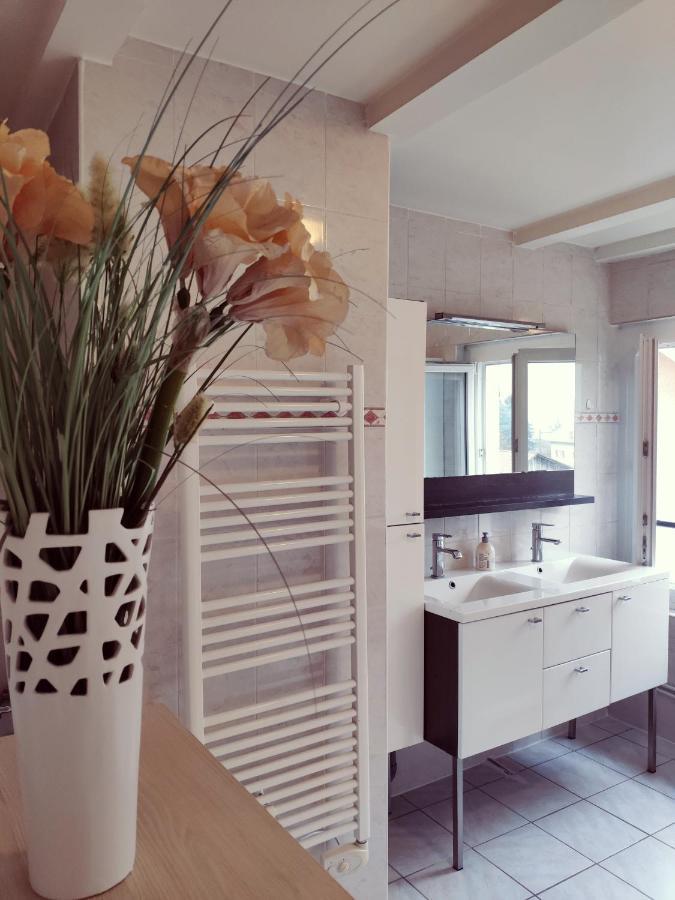 Au Bord Du Foron Apartment Scionzier Bagian luar foto