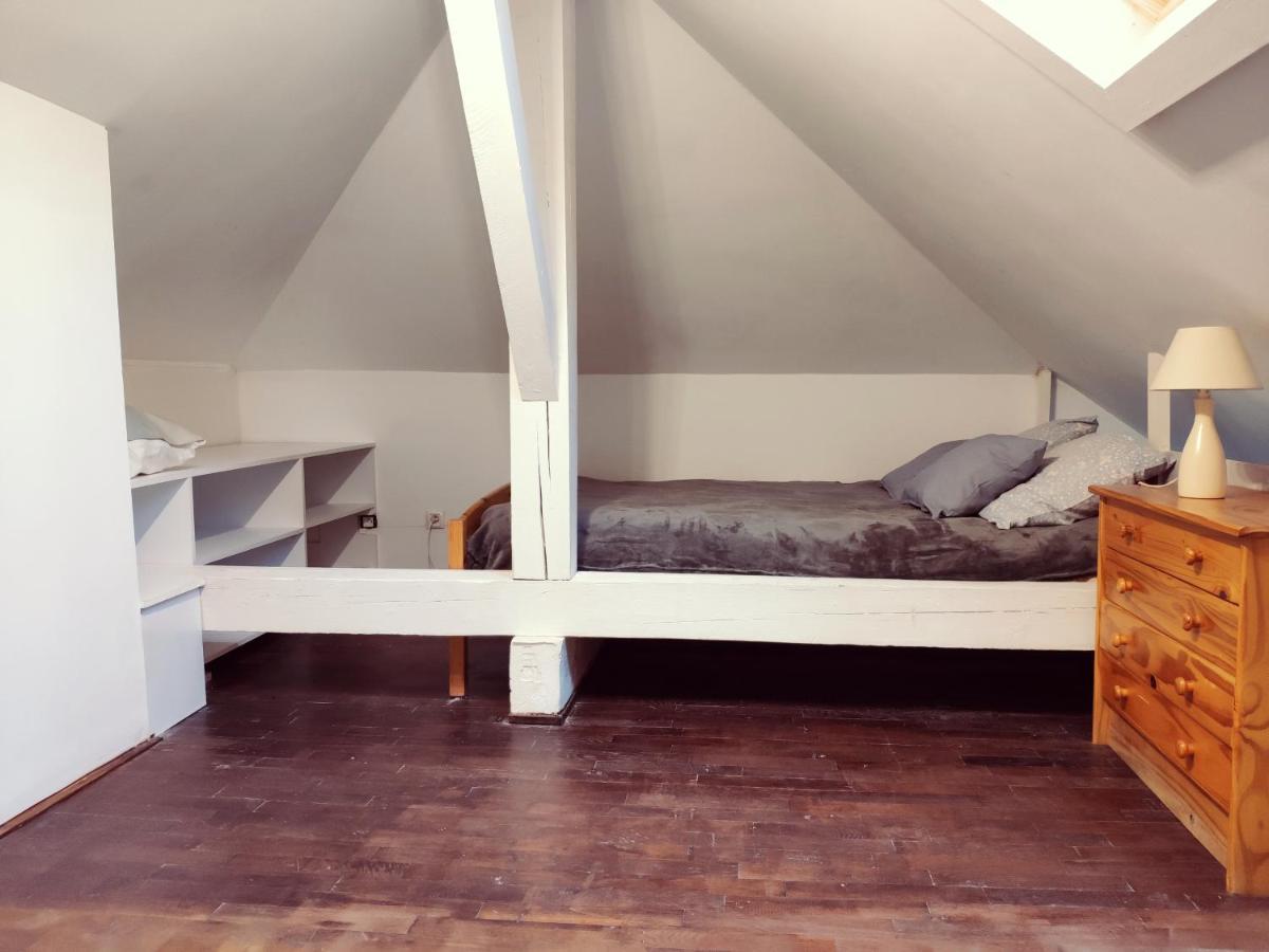 Au Bord Du Foron Apartment Scionzier Bagian luar foto